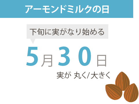 5月30日は「アーモンドミルク」の日