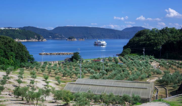 小豆島 井上誠耕園1