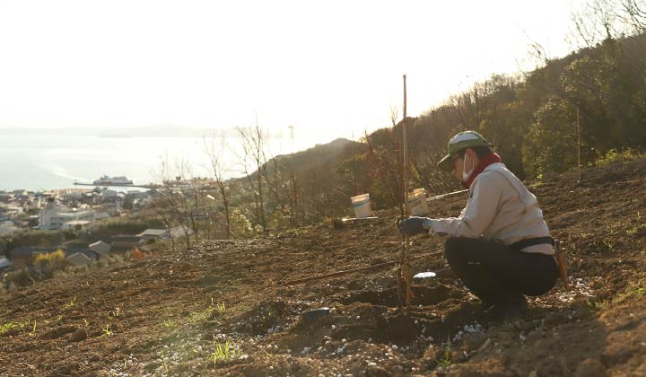 小豆島 井上誠耕園2