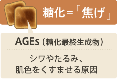 糖化=「焦げ」：AGEs（糖化最終生成物）